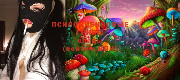 мет Аркадак