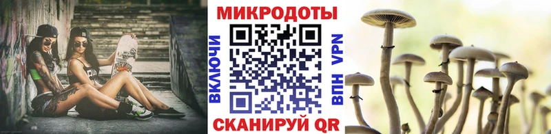 Псилоцибиновые грибы MAGIC MUSHROOMS  купить наркотики цена  Сясьстрой 